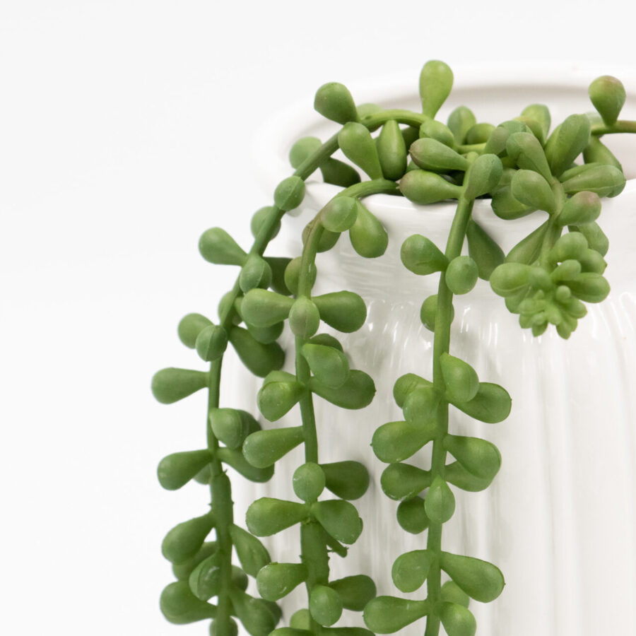 זר בונקלך 70 ס"מ