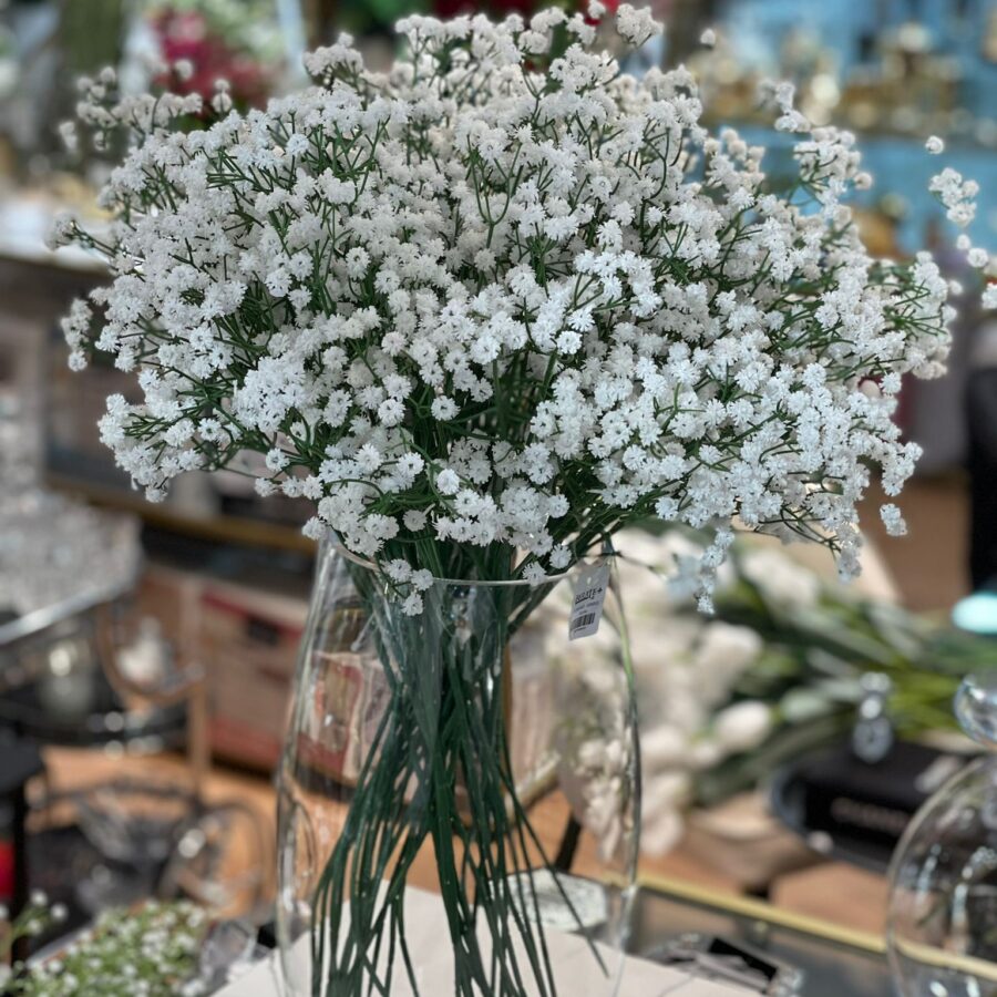 פרחים ועציצים