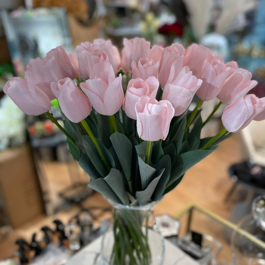 טוליף - ורוד