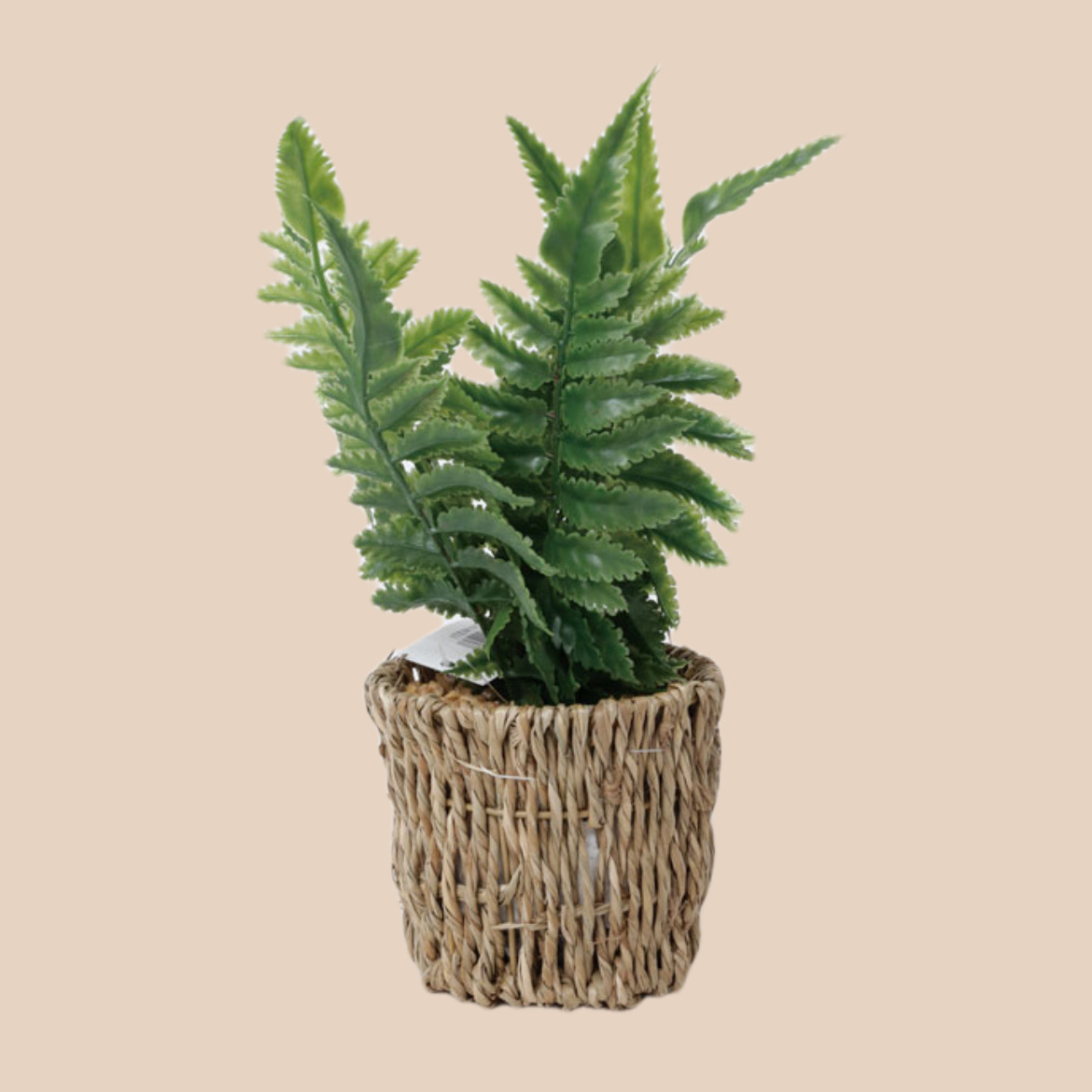 6ABA6315-2909-4E96-B6CB-C2006CEF3A3D