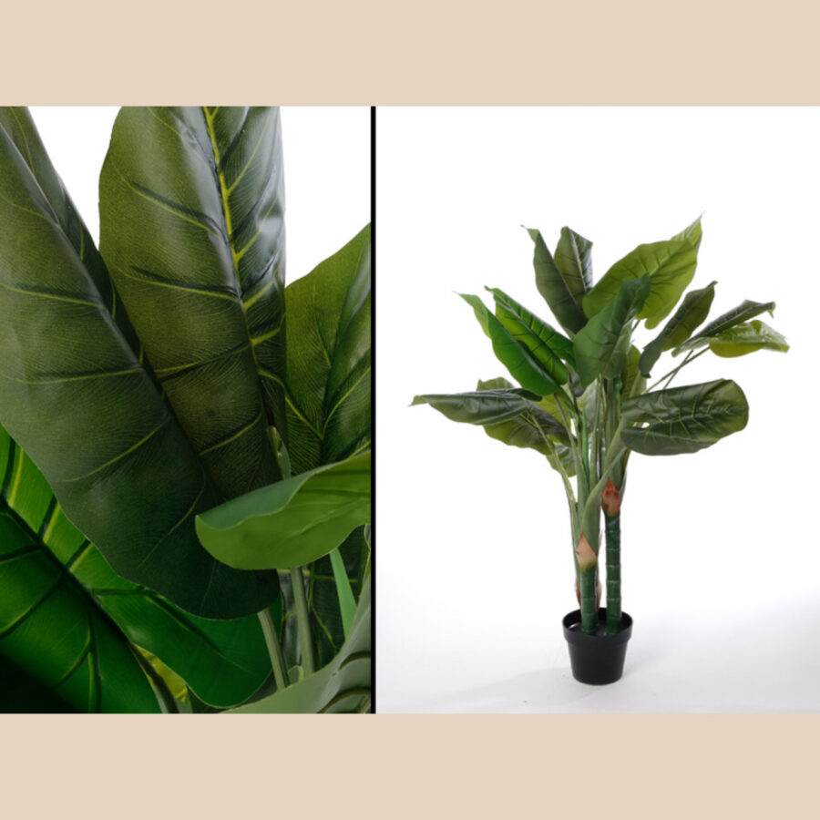 עץ עלי אוזני פיל - 120 ס"מ