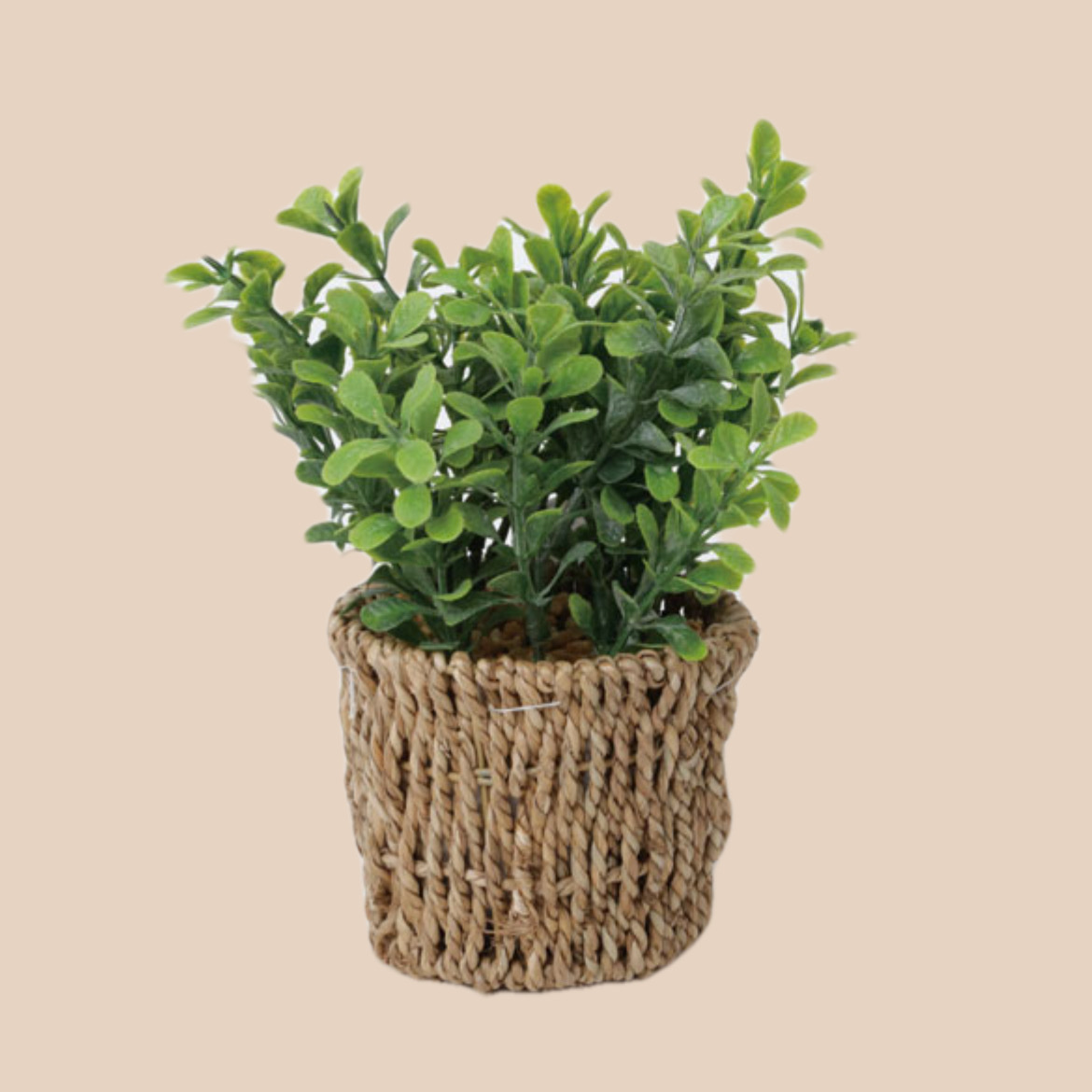 D15B8895-18F6-42AE-B8A6-0212A2578EC0