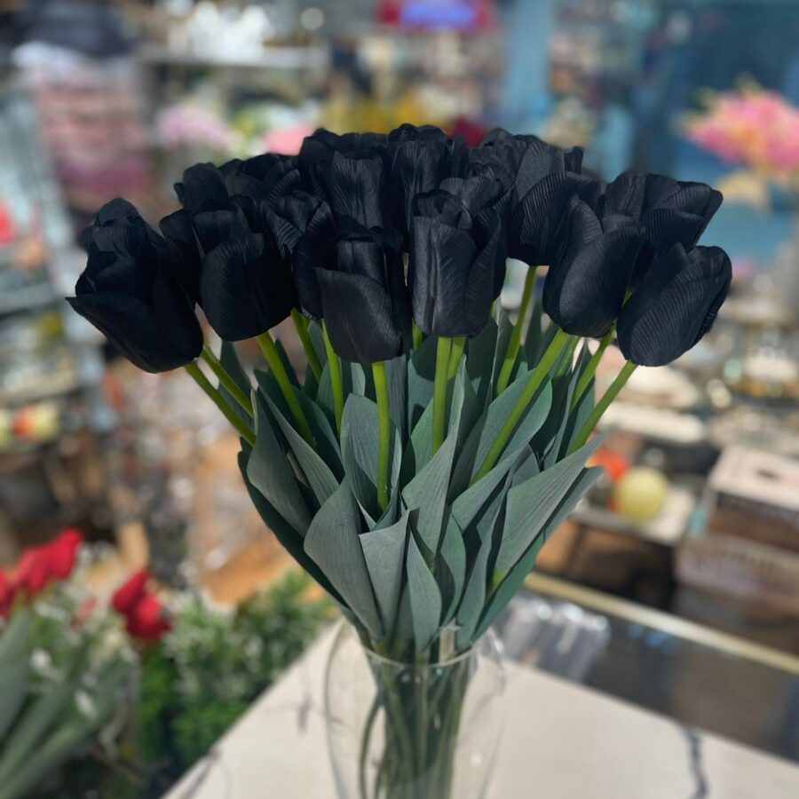 טוליף - שחור