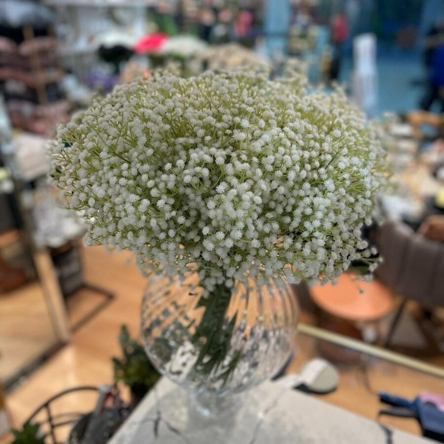 גיבסנית  - לבן